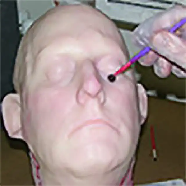 Psycho Paint™  Platinum Cure Silicone