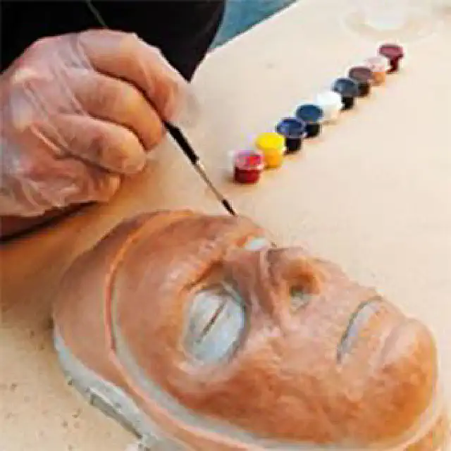 Silicone Paints & Pigments