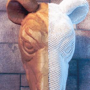 Varaform Gauze